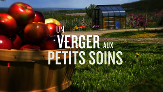 Un verger aux petits soins